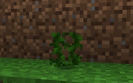 How to get vines in Minecraft 1.19 update