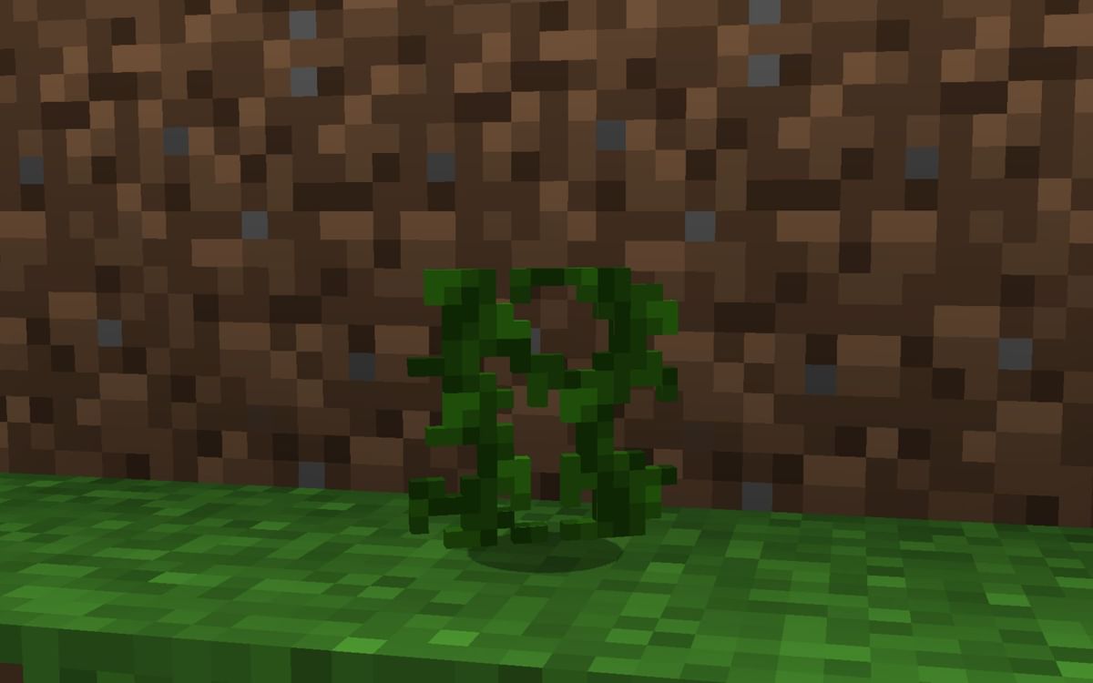 How to get vines in Minecraft 1.19 update