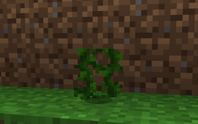 How to get vines in Minecraft 1.19 update