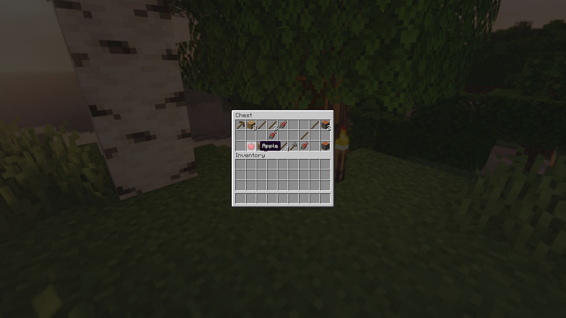 The loot found in a bonus chest (Image via Minecraft)