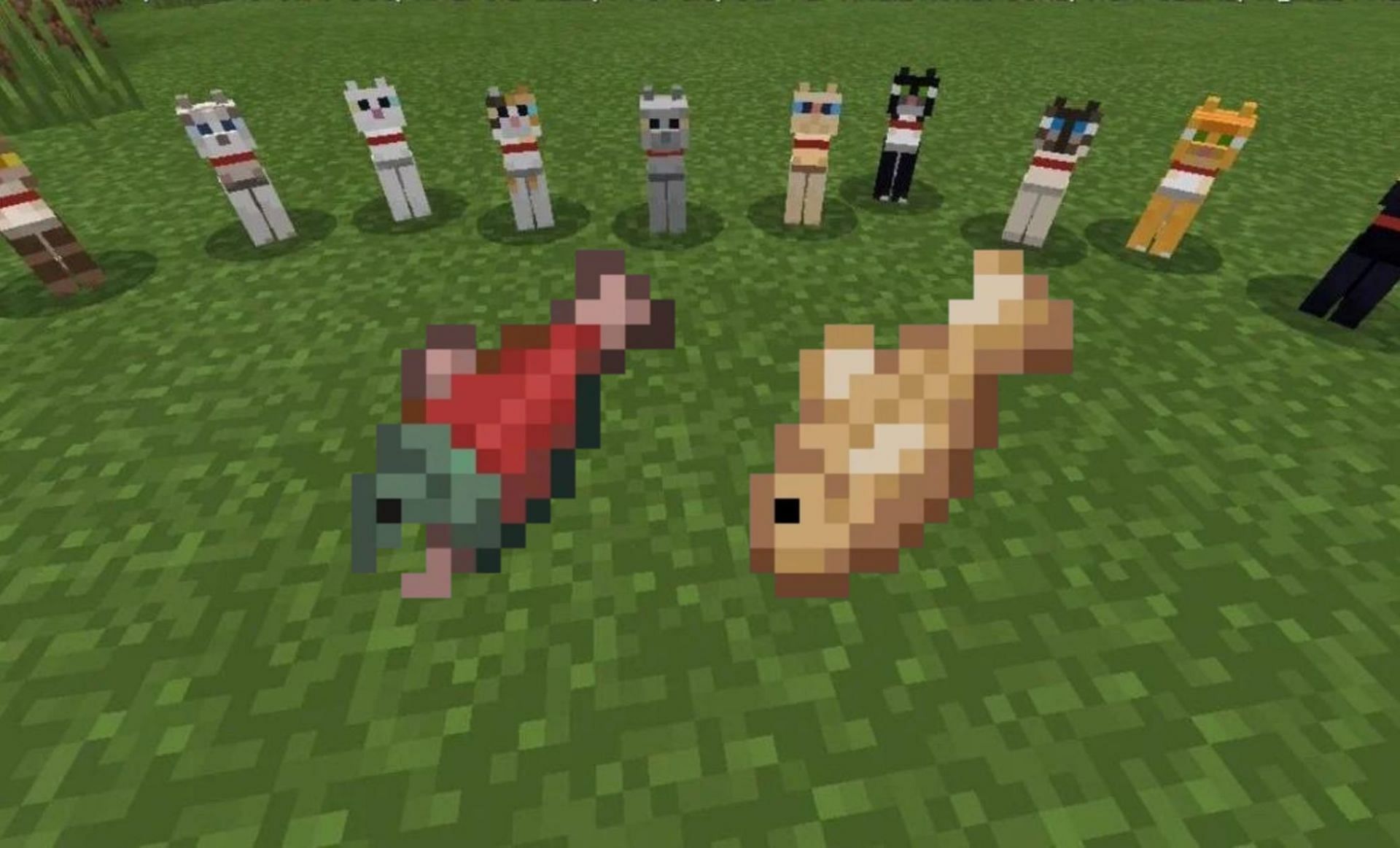 Tamed cats (Images via Minecraft Wiki)