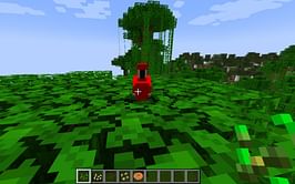 What do parrots eat in Minecraft 1.19?