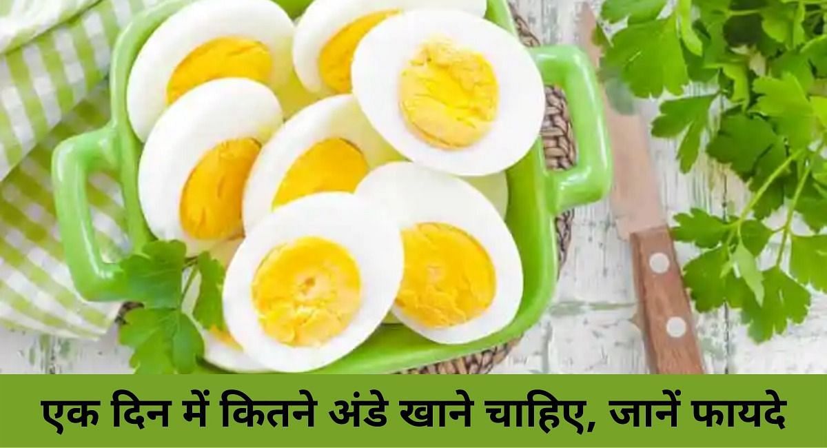 एक दिन में कितने अंडे खाने चाहिए, जानें फायदे(फोटो-Sportskeeda hindi)