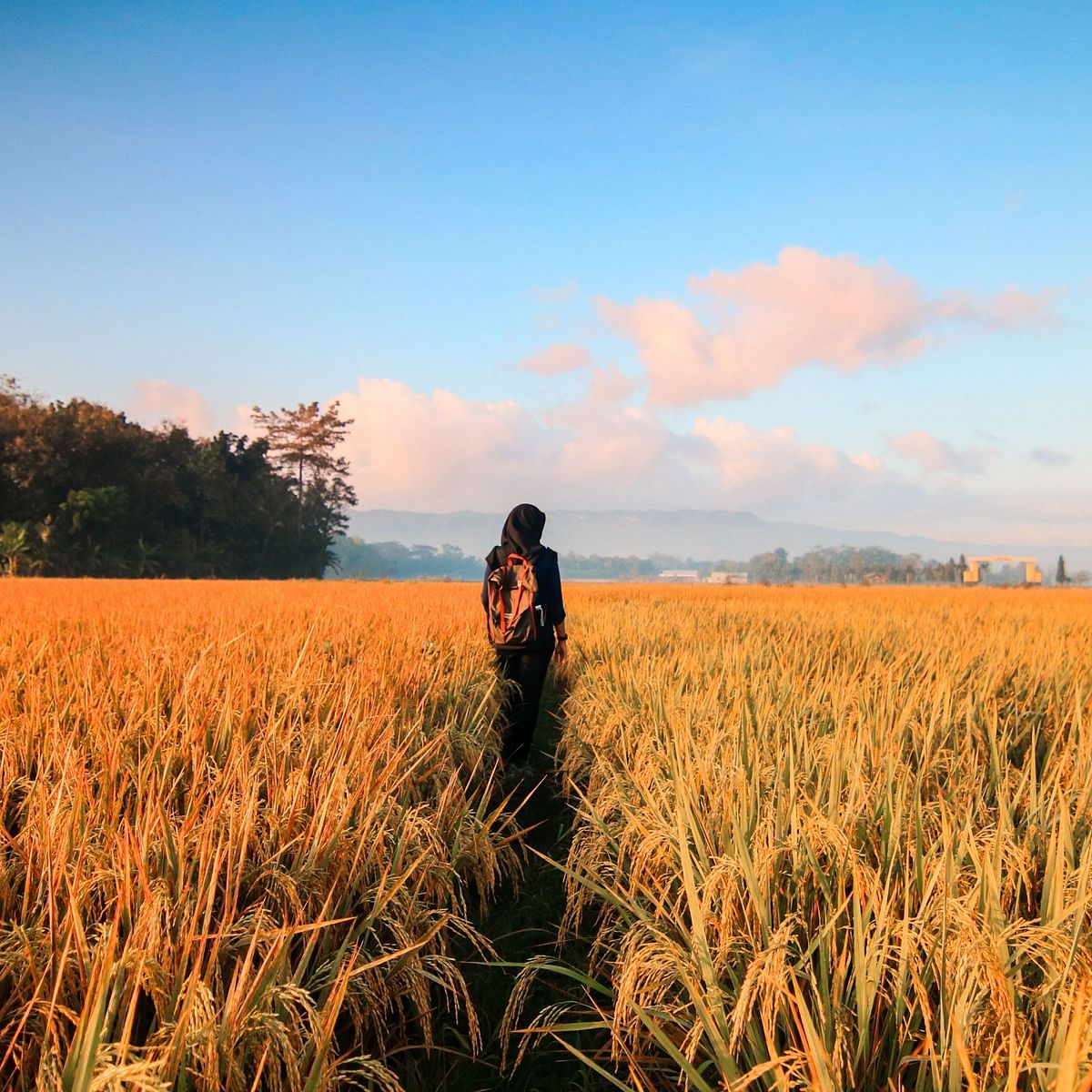 How Much Walking Is Good Per Day