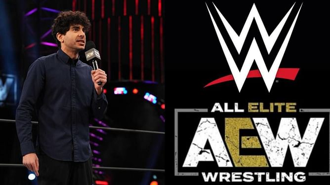 "Don't need to risk their body"- Former WWE Superstar comments on the growing list of injured stars in AEW