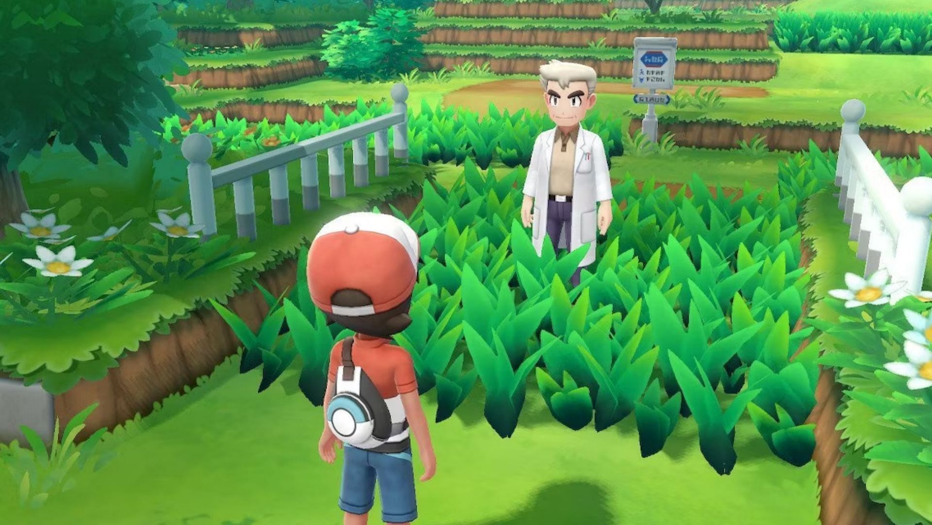 Fishing Rod in Pokemon: Let's Go Pikachu and Eevee