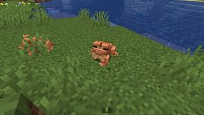 How many mobs are there in Minecraft 1.19 update?