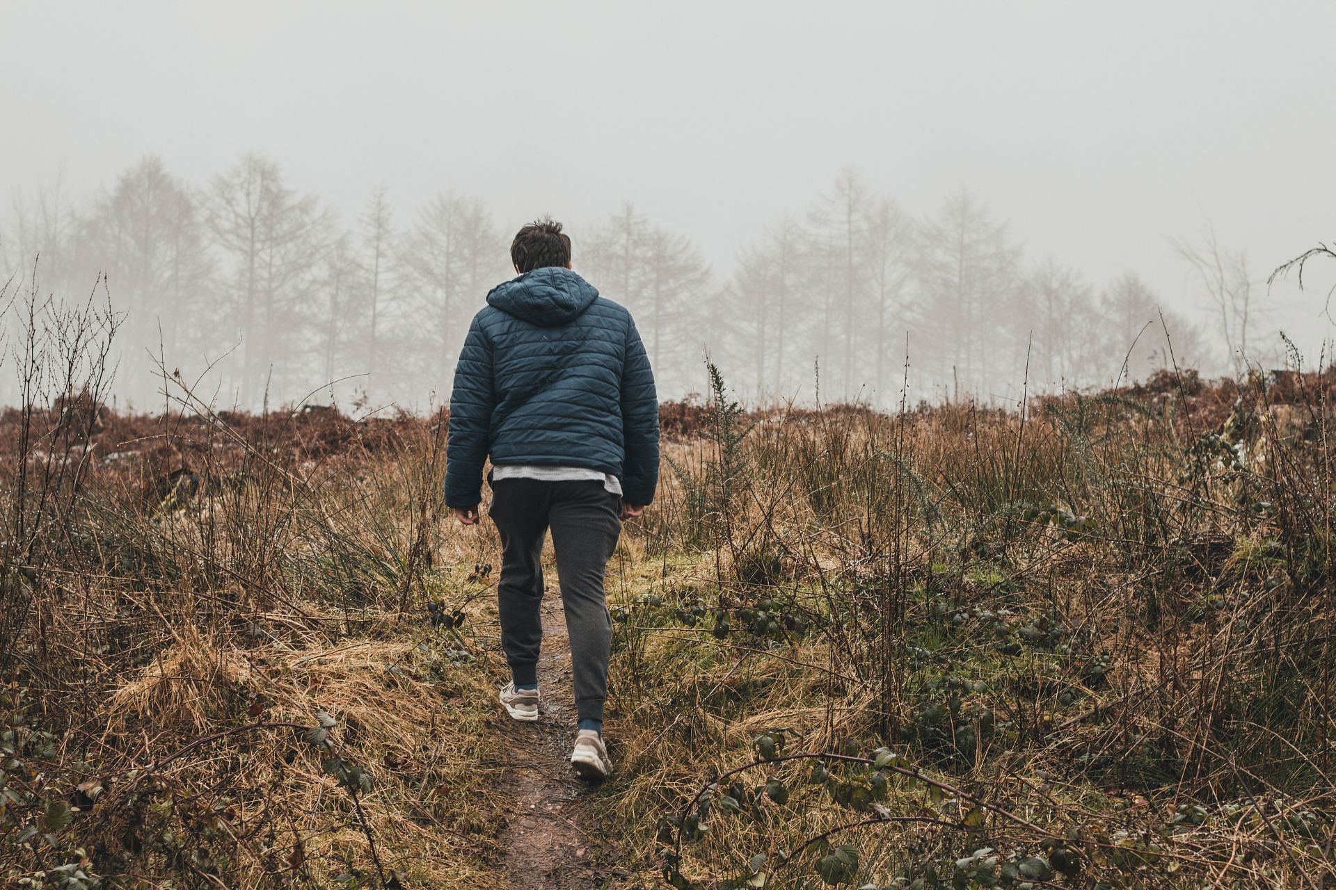 Walking can make you feel energised. (Image via Pexels / Tamar Willoughby)