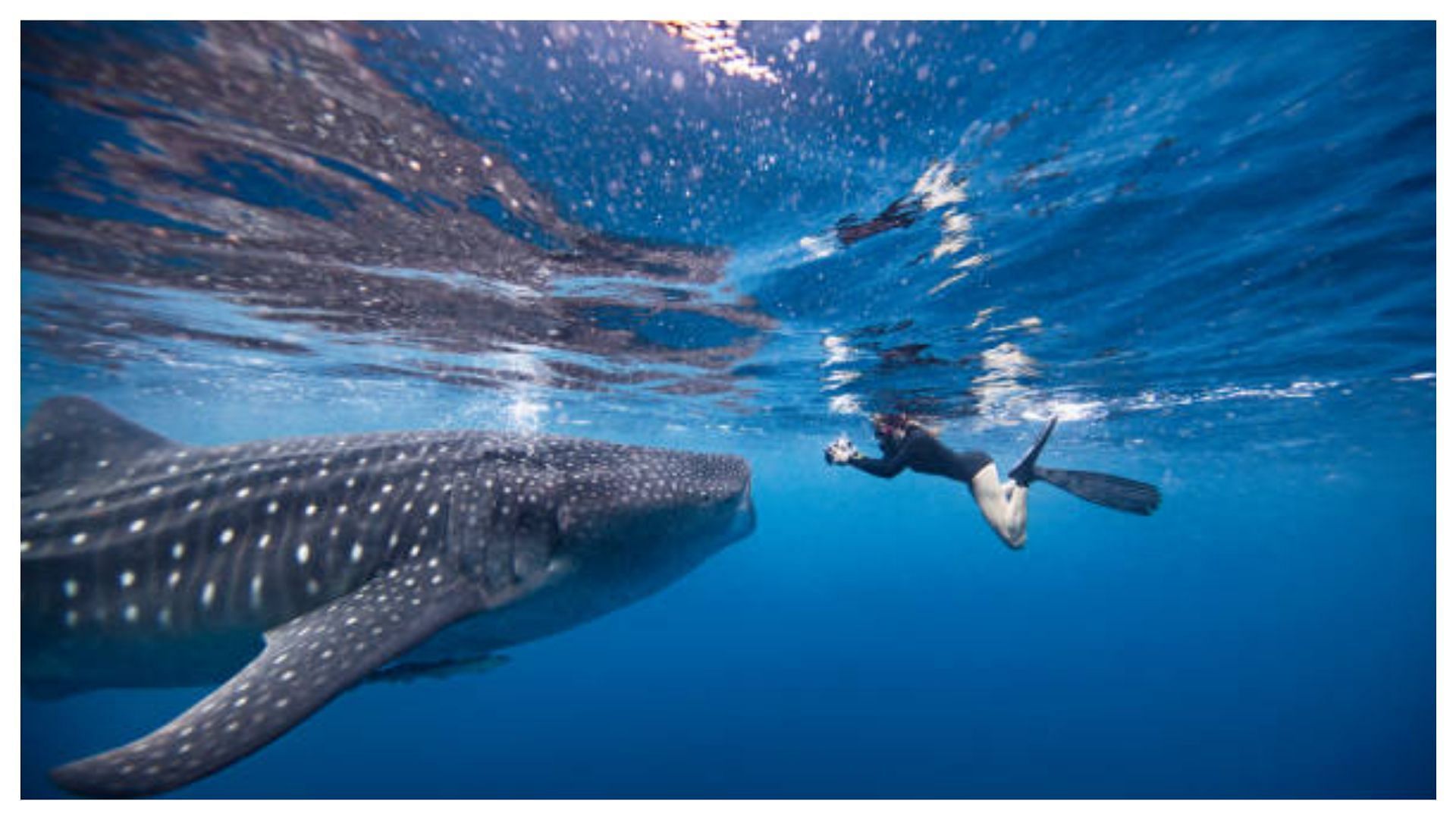 Two foreign women were attacked in the Egpty&#039;s red sea (Image on Representation via GettyImages)