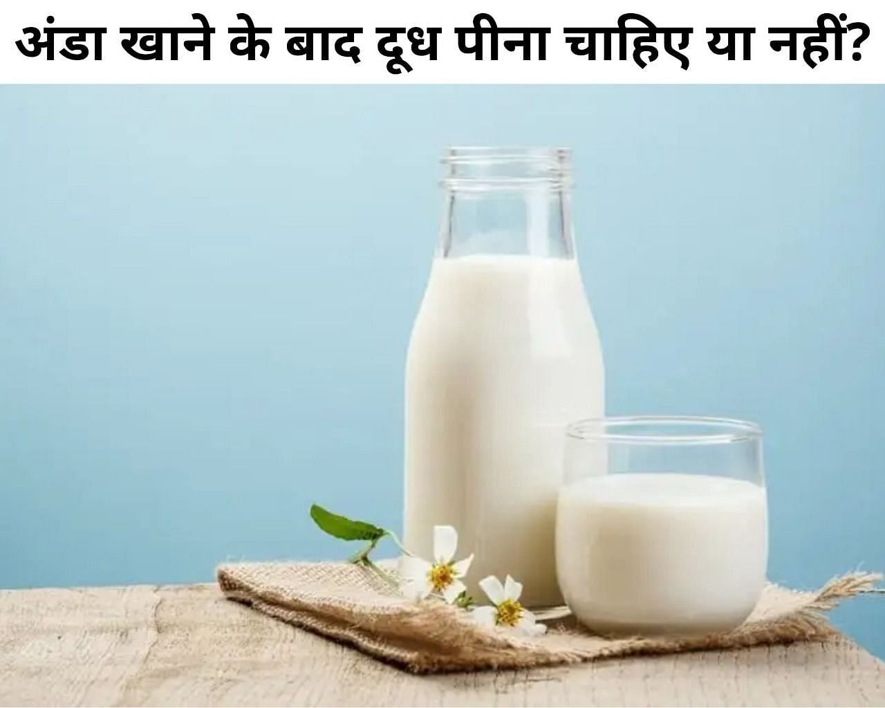 अंडा खाने के बाद दूध पीना चाहिए या नहीं? (फोटो - sportskeeda hindi)