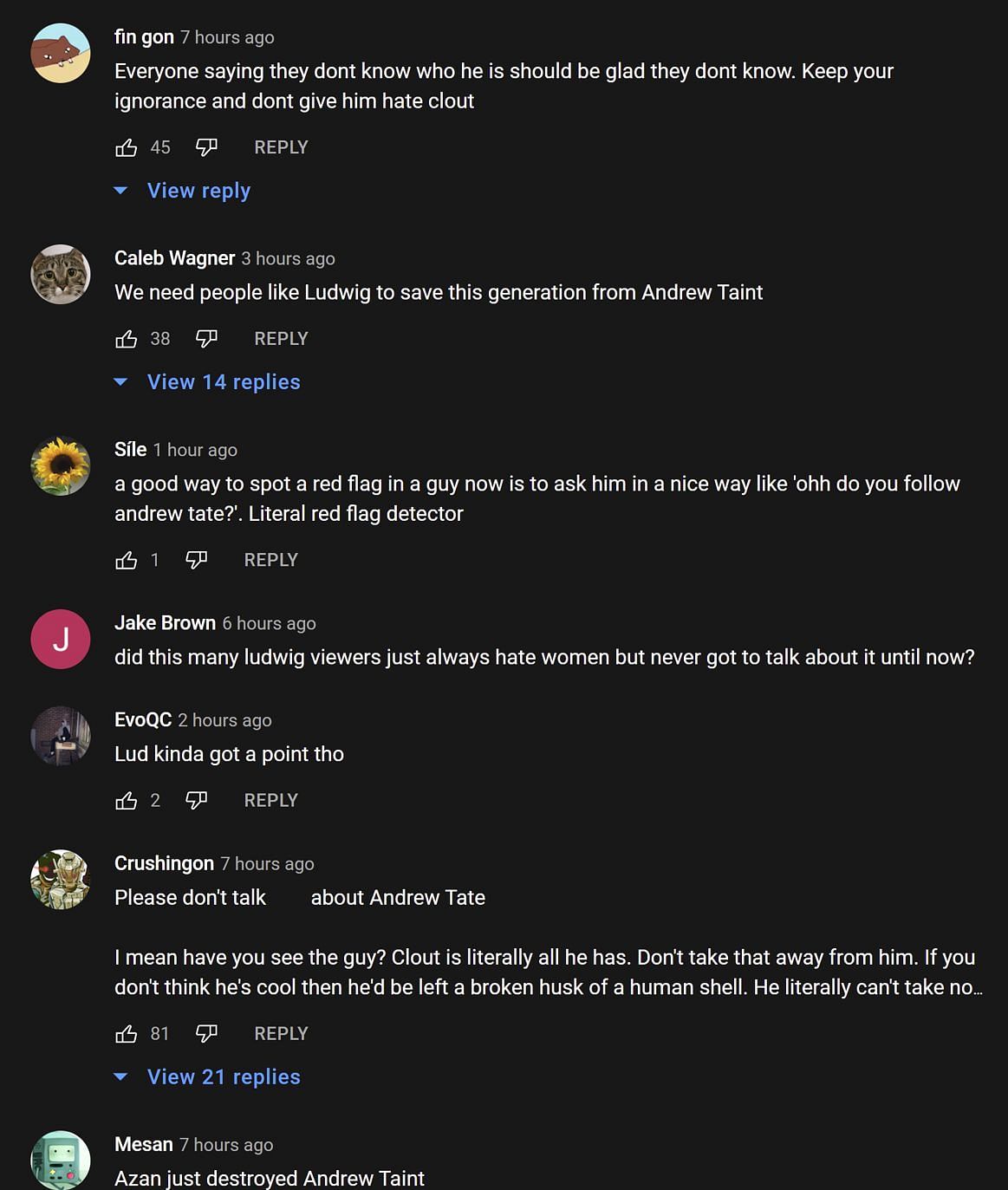 Fans in the YouTube comment section react to the streamer calling out Andrew Tate fans 2/2 (Image via Ludwin Clips/YouTube)