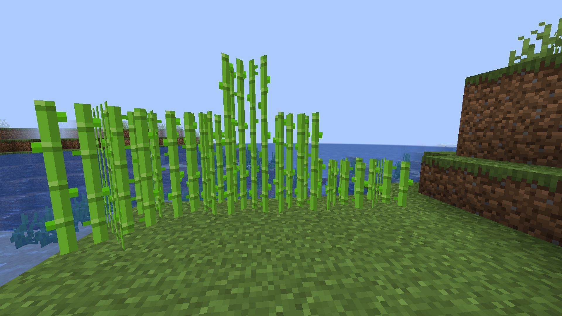By changing the random tick speed, players can instantly grow sugarcane (Image via Minecraft 1.19 update)