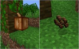 How to plant cocoa beans in Minecraft 1.19 update