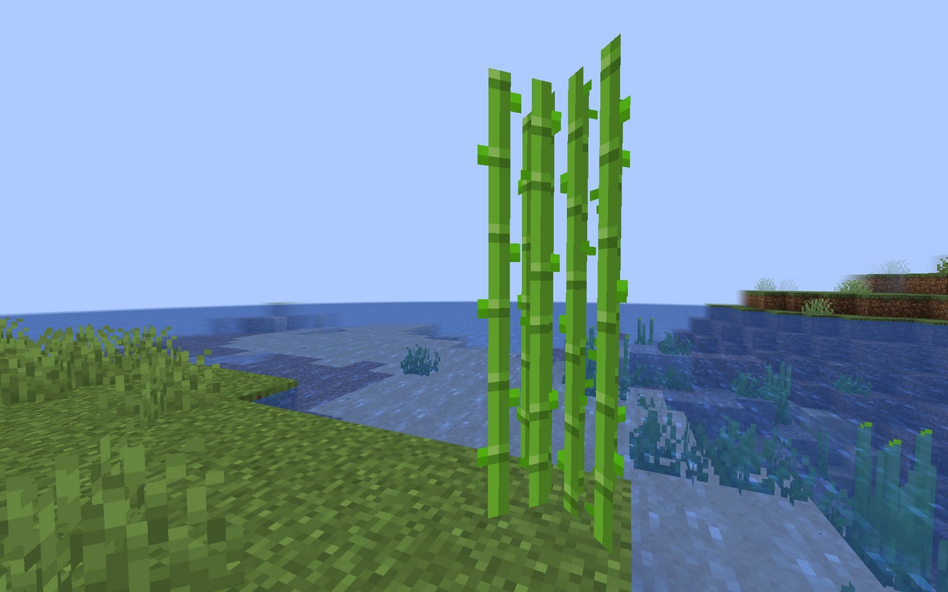 Sugarcane can take a long time to grow in survival mode without cheats (Image via Minecraft 1.19 update)