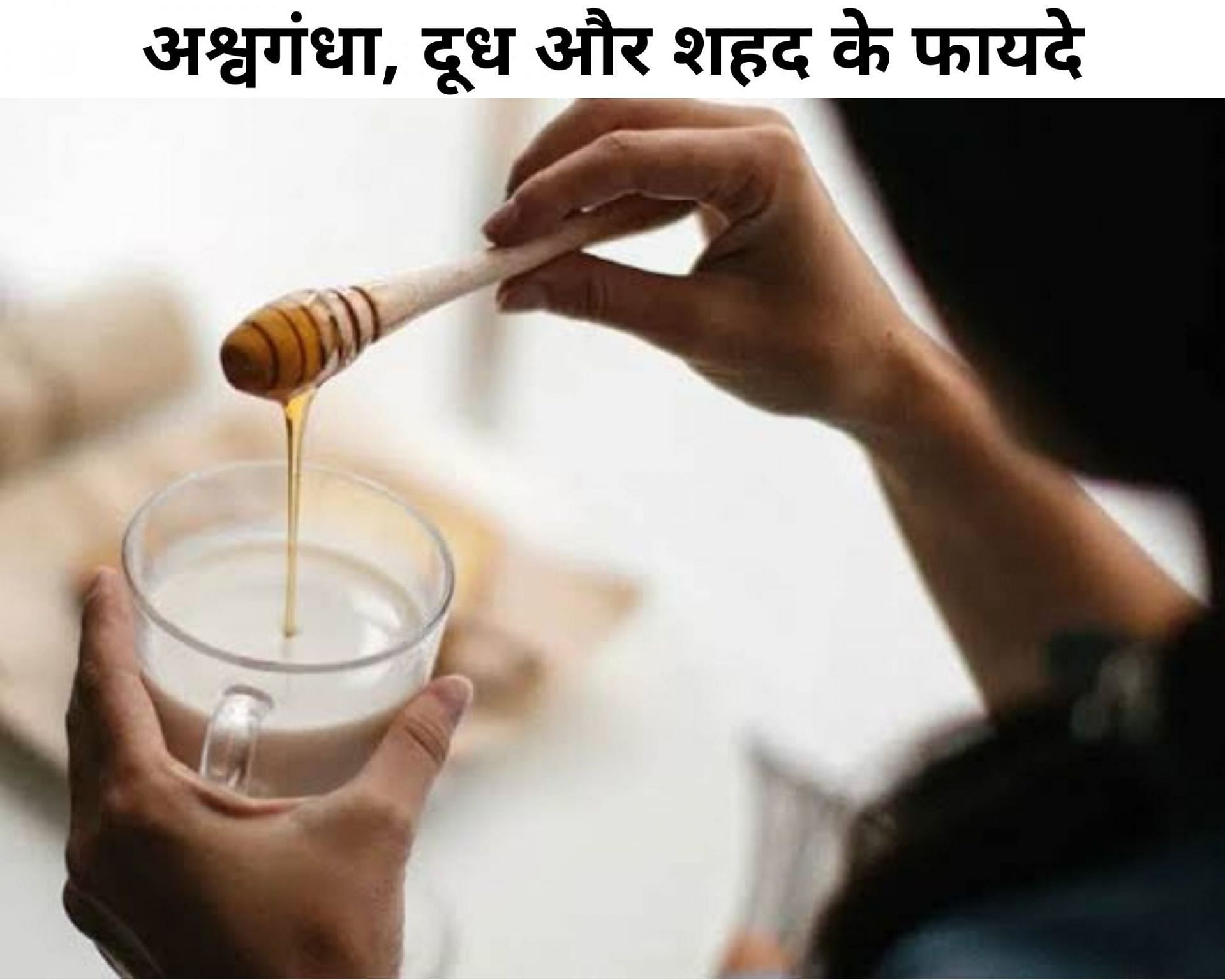 अश्वगंधा, दूध और शहद के फायदे (फोटो - sportskeeda hindi)