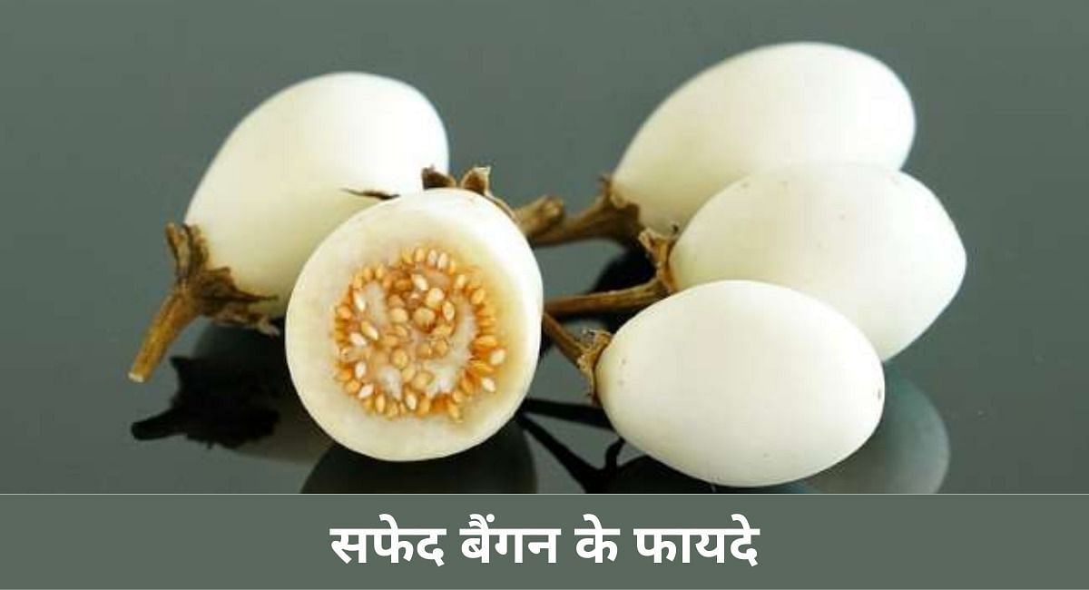 सफेद बैंगन के फायदे(फोटो-Sportskeeda hindi)