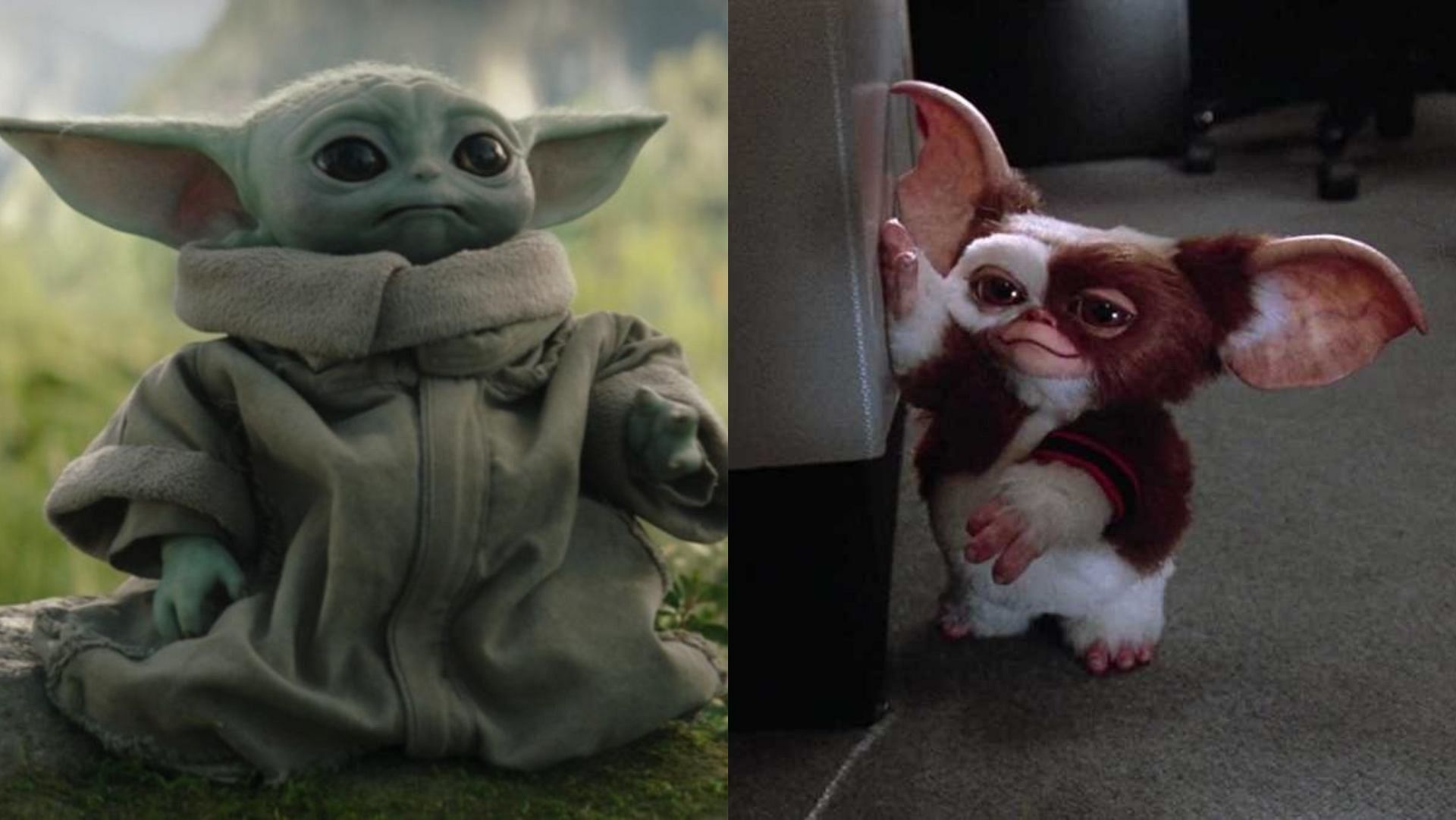 Baby Yoda and Gizmo (Image via The Walt Disney Studios and Warner Bros. Discovery)
