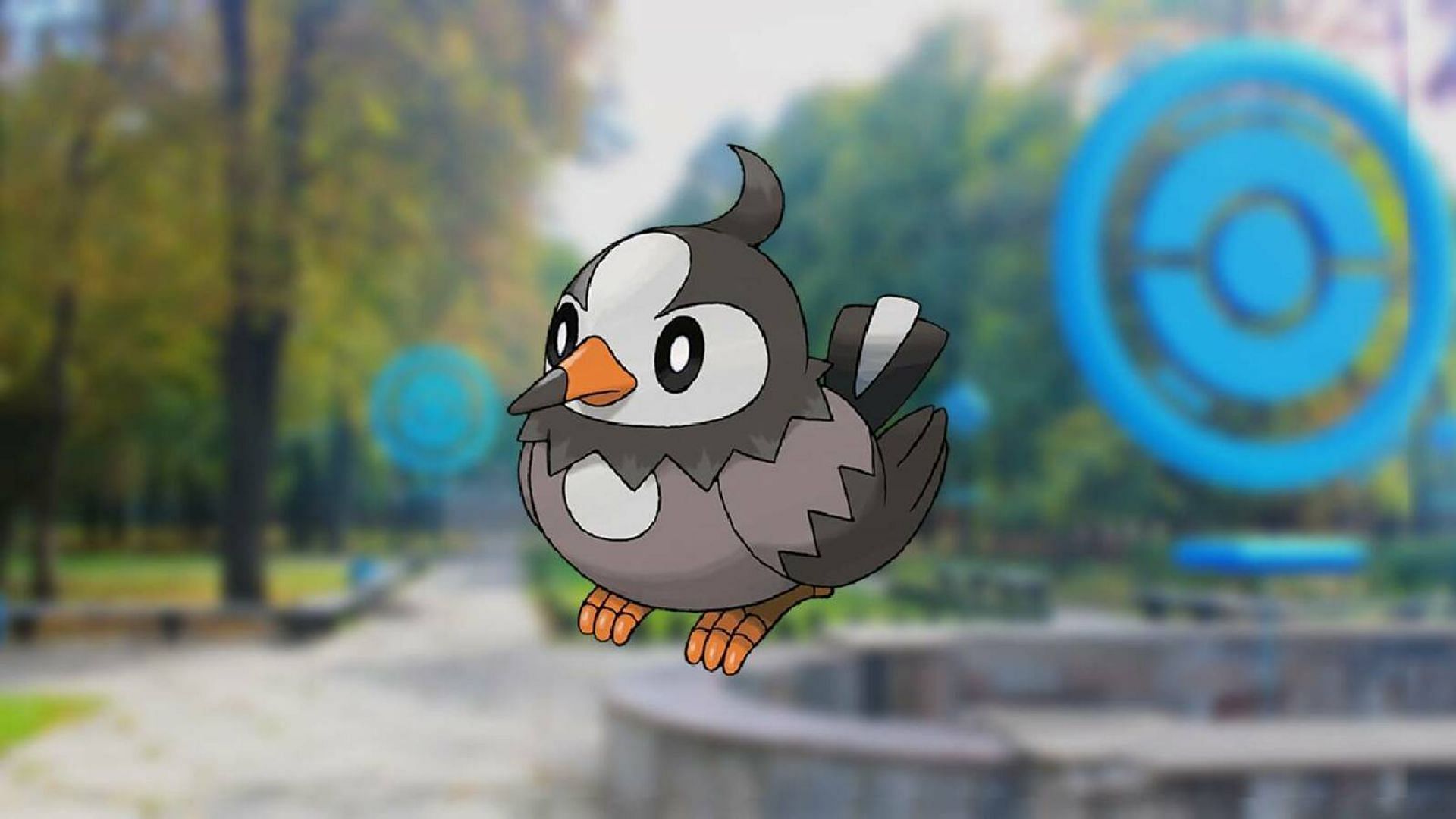 Official artwork for Starly used throughout the franchise (Image via The Pokemon Company)