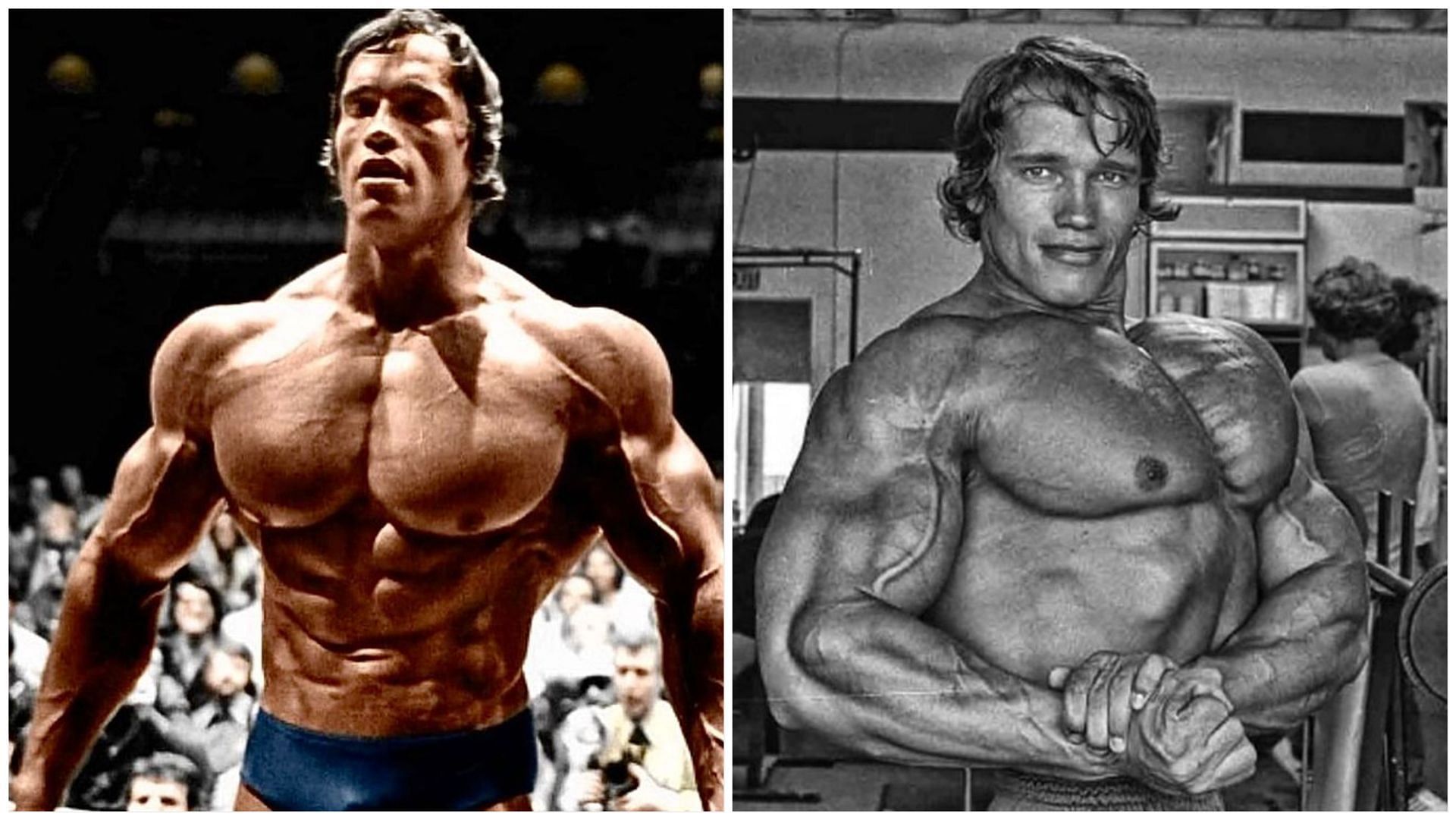 Arnold schwarzenegger 2025 upper body workout