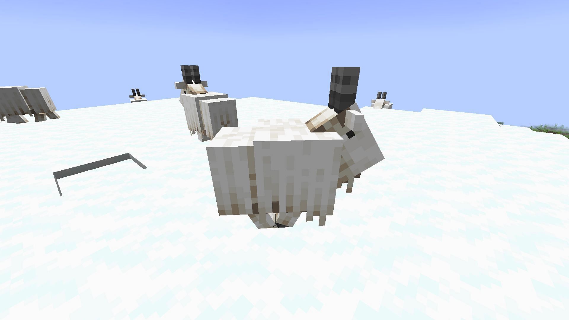 Goats are uncommon mobs found in select mountain biomes (Image via Minecraft 1.19 update)