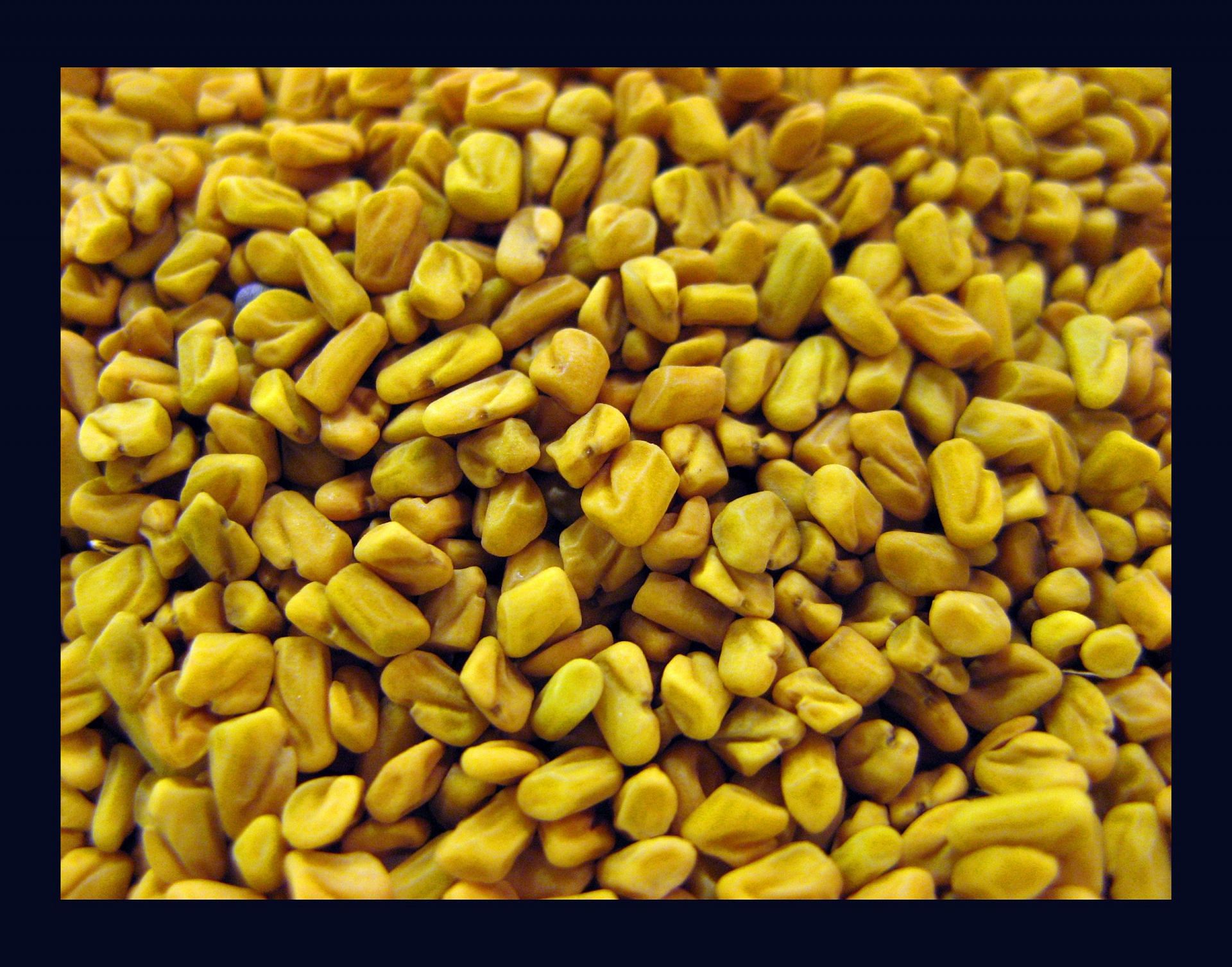Fenugreek is a common and staple spice in Indian and Asian cooking (Image via Flickr)