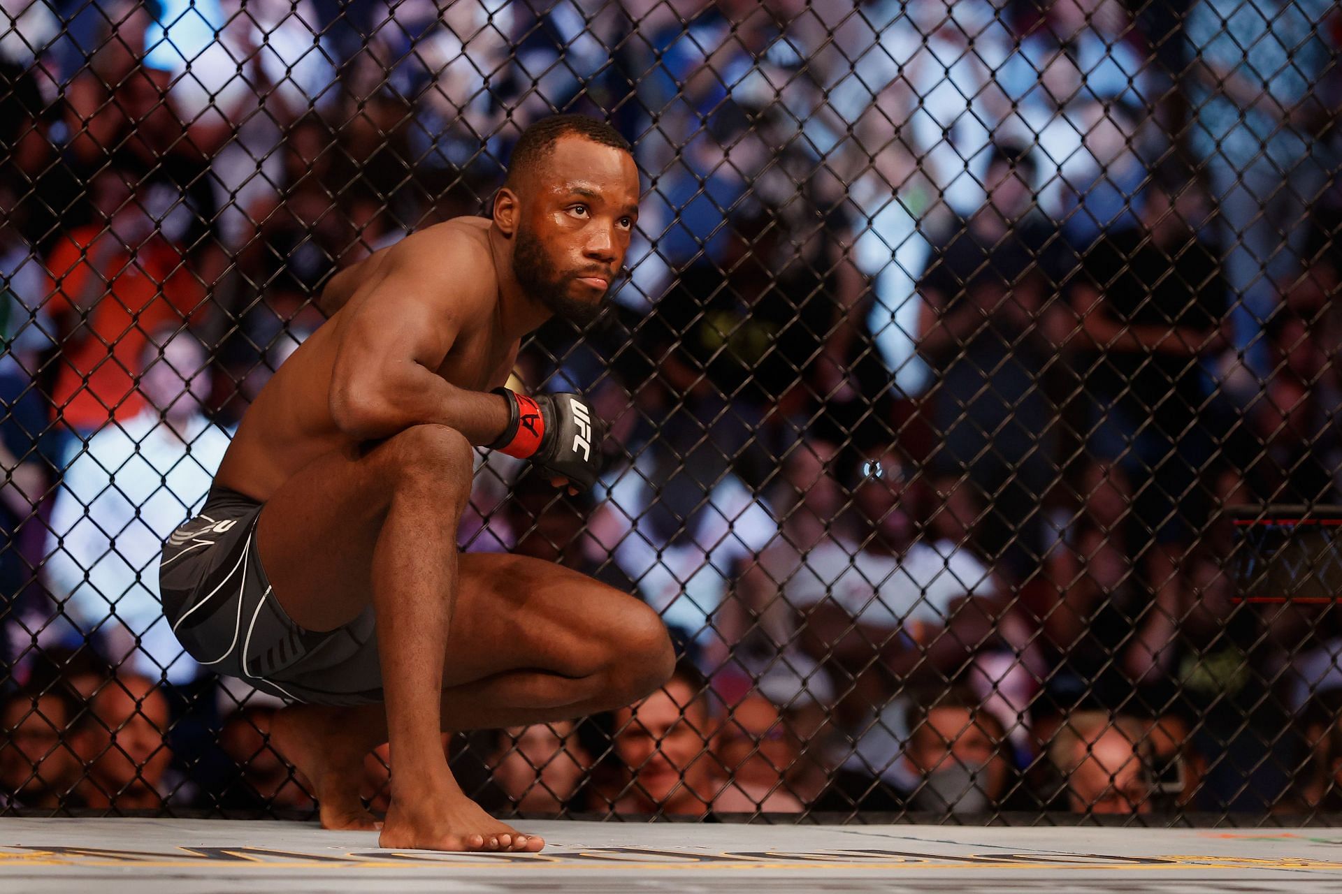 Leon Edwards will have a chance at claiming gold in the octagon in the near future