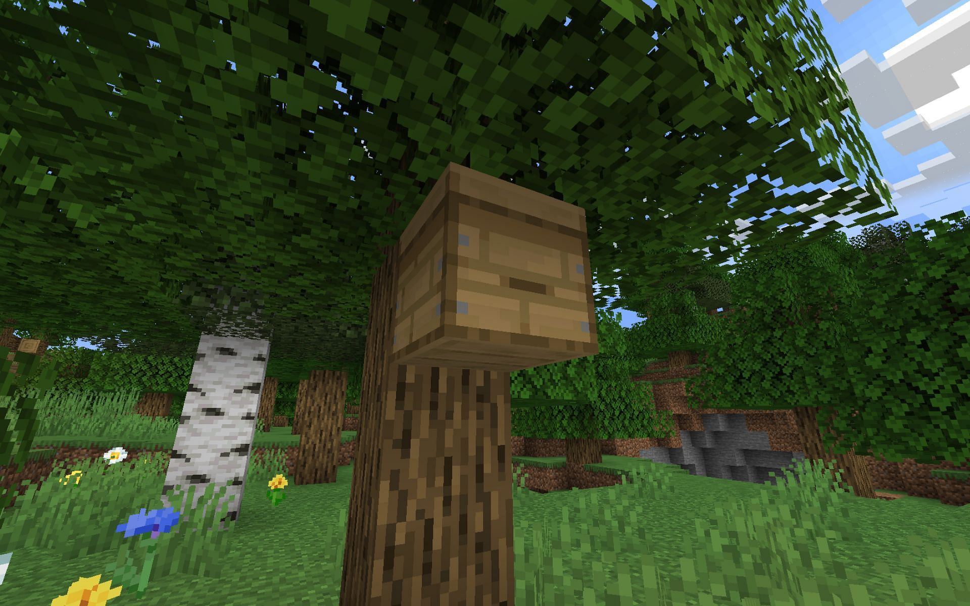 Beehives are crafted versions of naturally generated bee nests (Image via Minecraft 1.19)