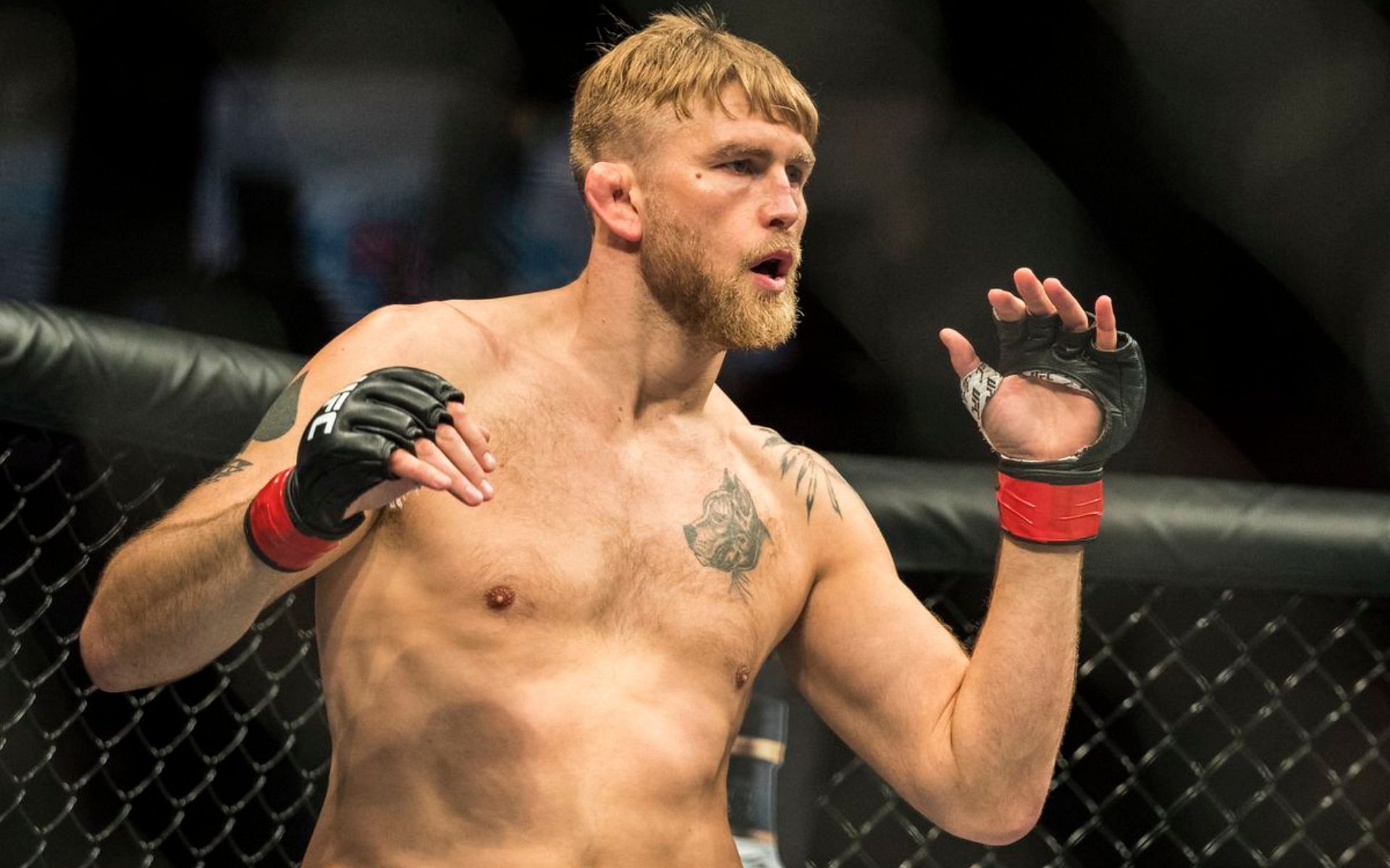Will Alexander Gustafsson&#039;s latest return from retirement go to plan this weekend?