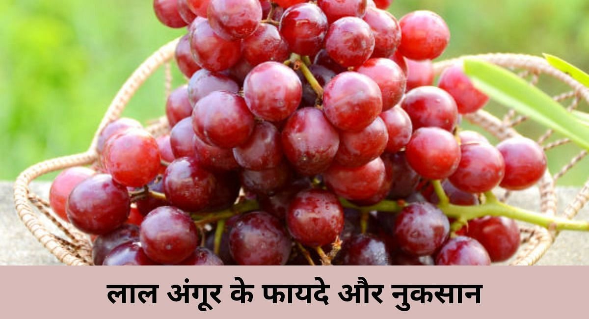 लाल अंगूर के 6 फायदे और 3 नुकसानBenefits and side effects of red