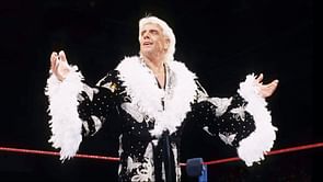 What happened to Ric Flair's 'butterfly' robe?