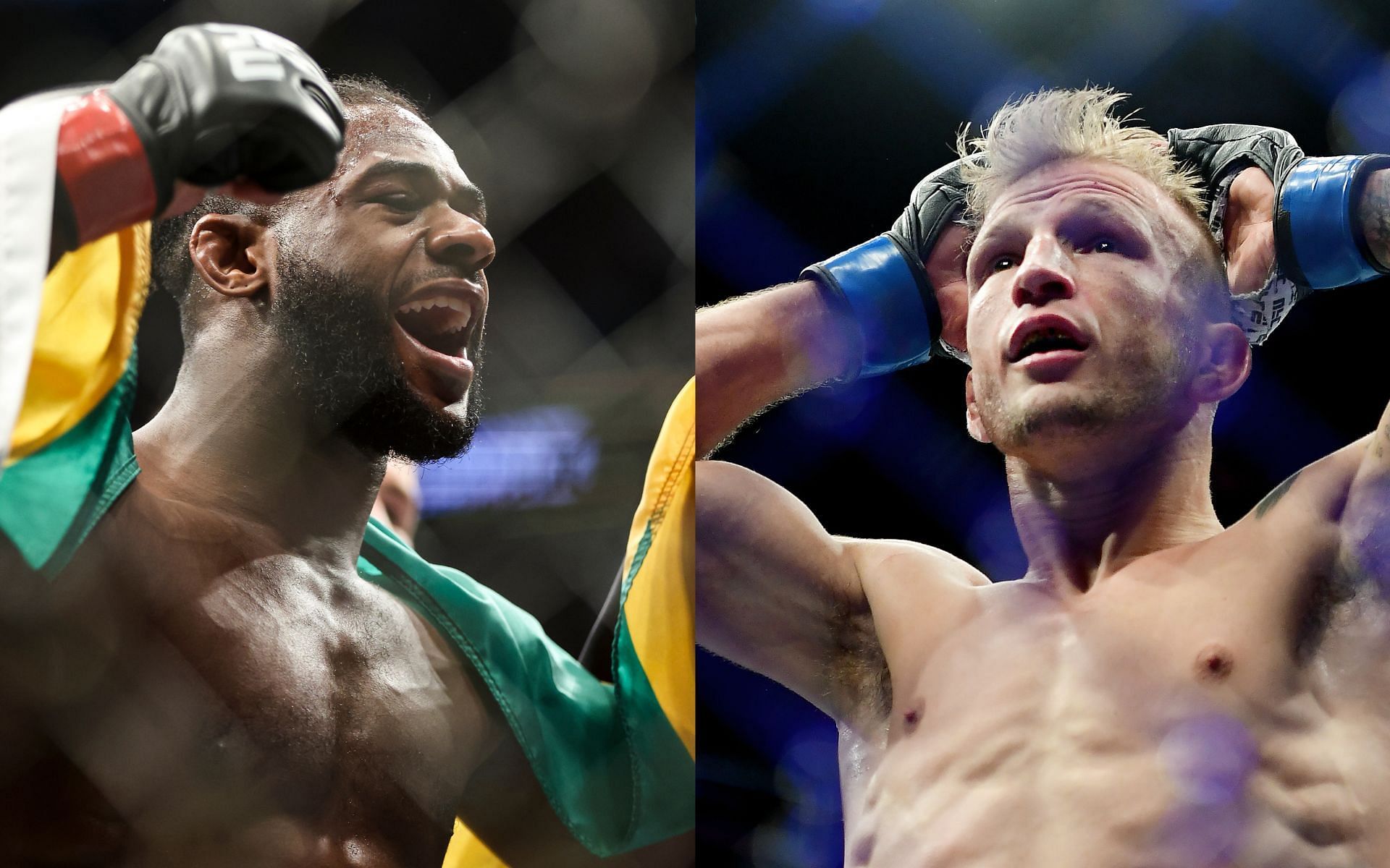 Aljamain Sterling (left), T.J. Dillashaw (right) Here are just some of the comments in favour of the bantamweight champion