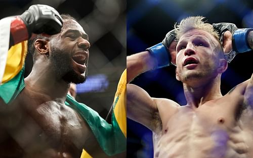 Aljamain Sterling (left), T.J. Dillashaw (right) Here are just some of the comments in favour of the bantamweight champion