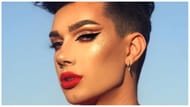 Netizens express their resentment for James Charles on social media (image via Pinterest/Hobscheidt Chloe)