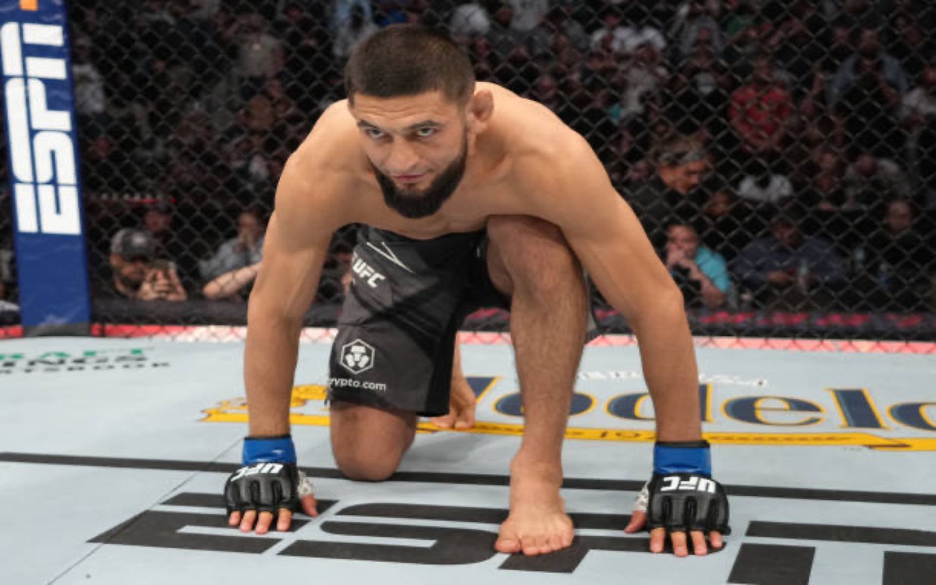 "When he fought Jon Jones, everyone started training MMA" - Khamzat Chimaev describes the impact UFC Hall of Famer Alexander Gustafsson had on Swedish MMA