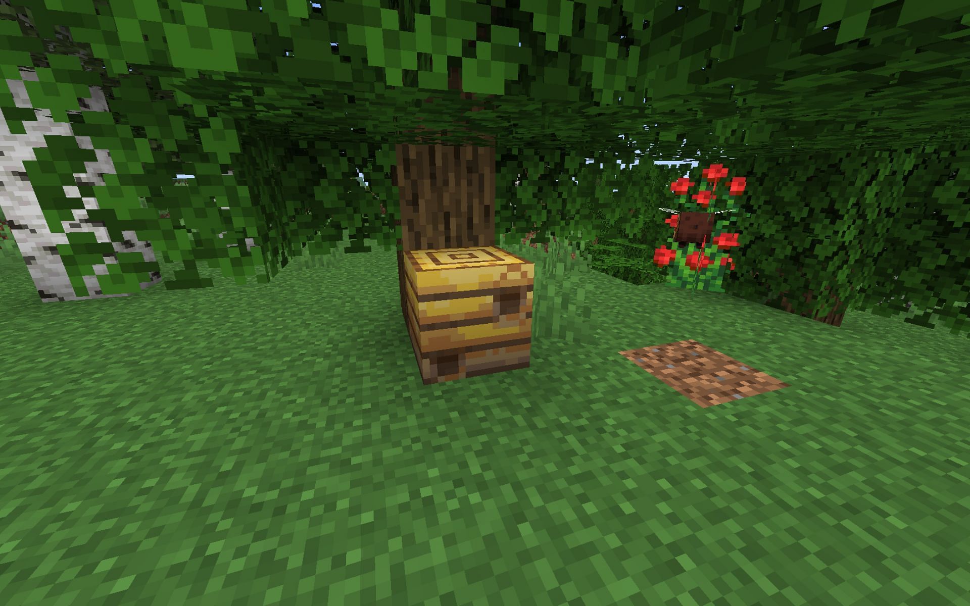 Players must first find a bee nest and get enough honeycomb (Image via Minecraft 1.19)