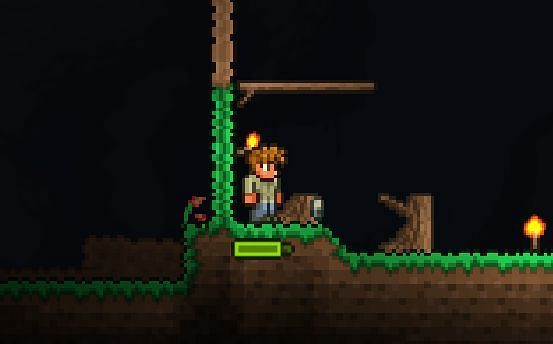 Terraria Guide