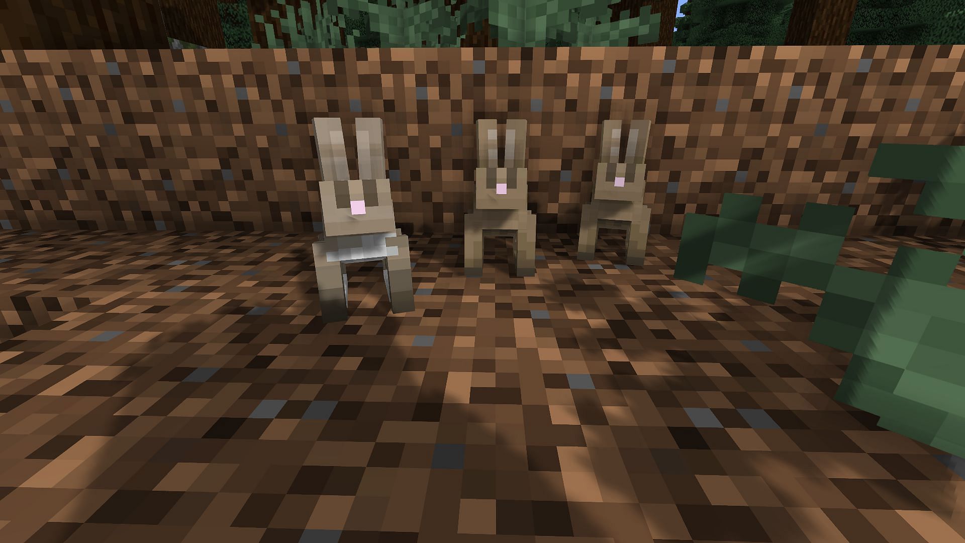 Three different taiga rabbits watching the player (Image via Minecraft)