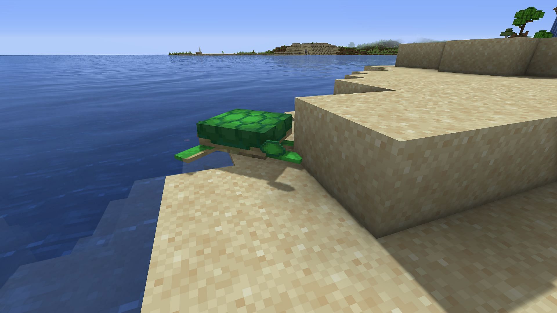 A newly grown adult turtle near a scute (Image via Minecraft)