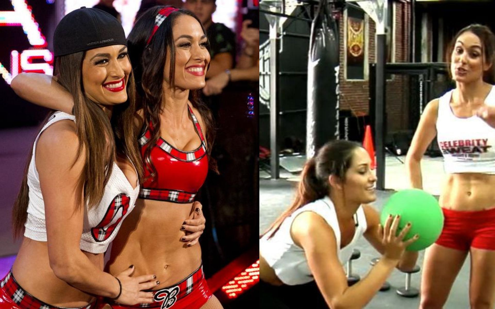 WWE hall of Famers Brie and NIkki Bella