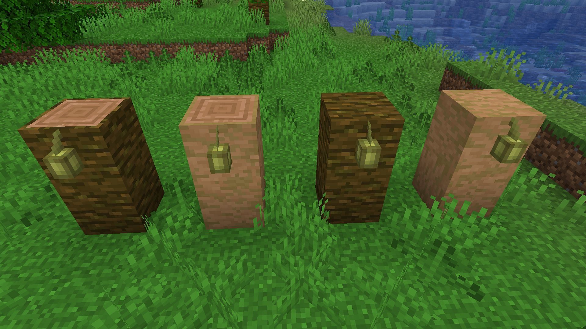 Cocoa beans can only be planted on different kinds of jungle wood or log (Image via Minecraft 1.19 update)