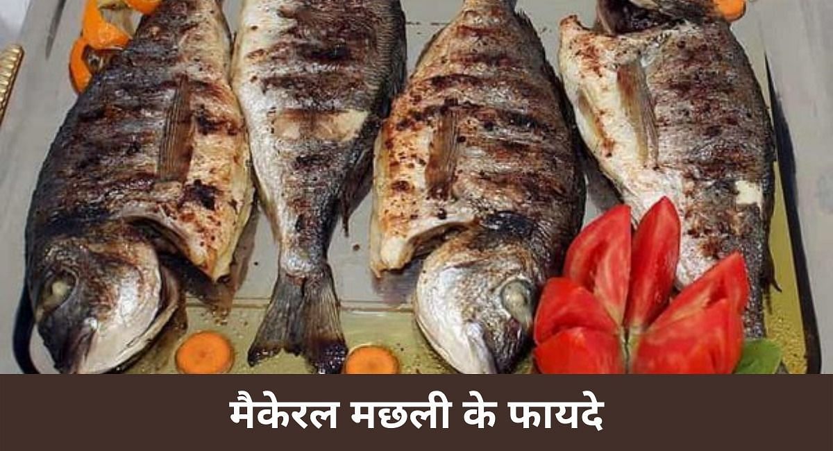 मैकेरल मछली के फायदे(फोटो-Sportskeeda hindi)