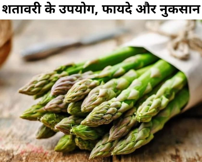 शतावरी के उपयोग, 3 फायदे और 3 नुकसान Uses, Benefits And SideEffects