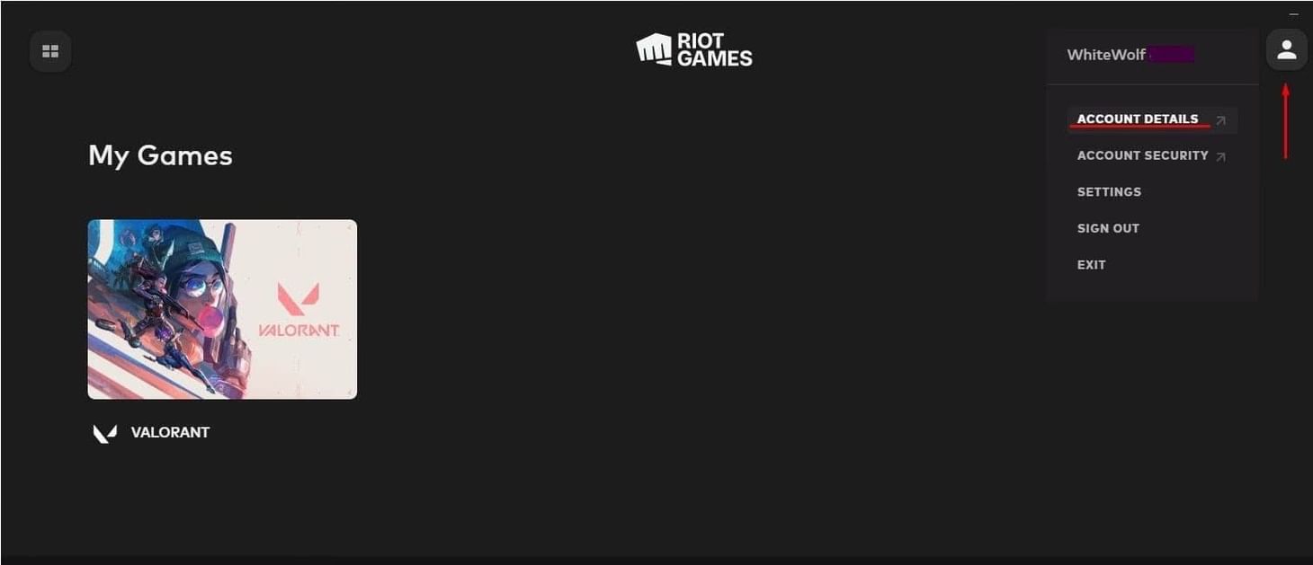 100 most hilarious Valorant IGNs to use in 2022