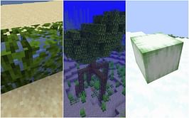 5 fun facts about Minecraft 1.19 update