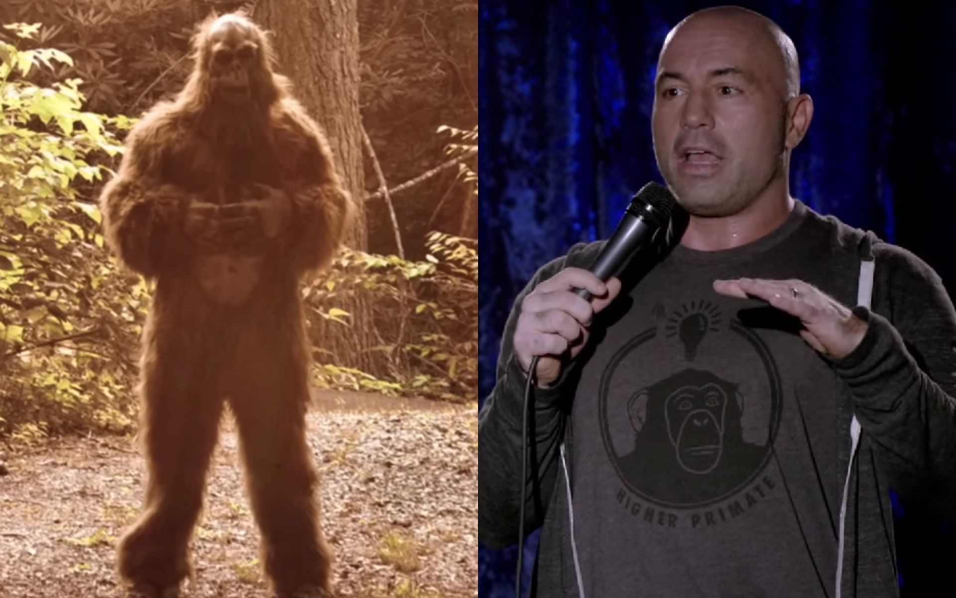 &#039;Bigfoot&#039; (left), Joe Rogan (right) [Images courtesy of Comedy Central UK and History on YouTube]
