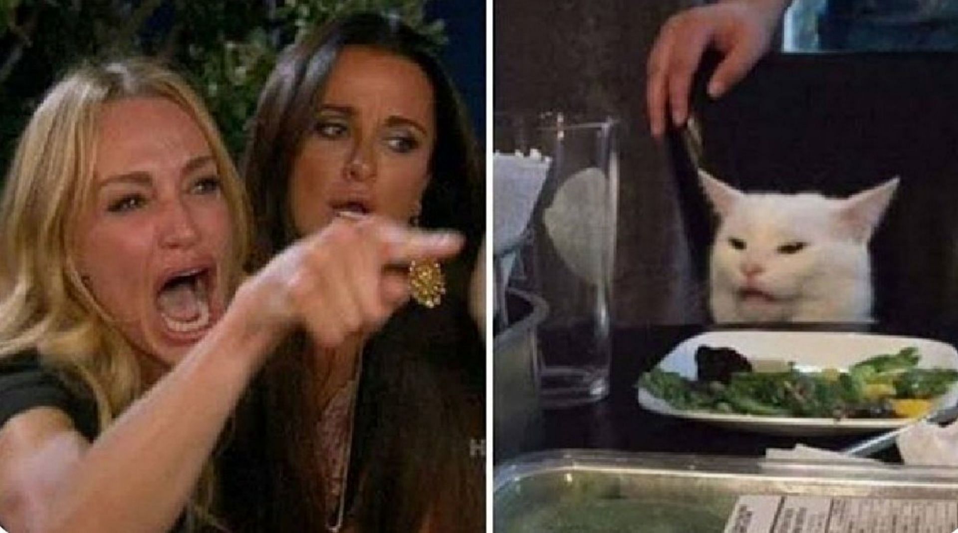 Woman Yelling at a Cat meme (Image via KnowYourMeme.com)
