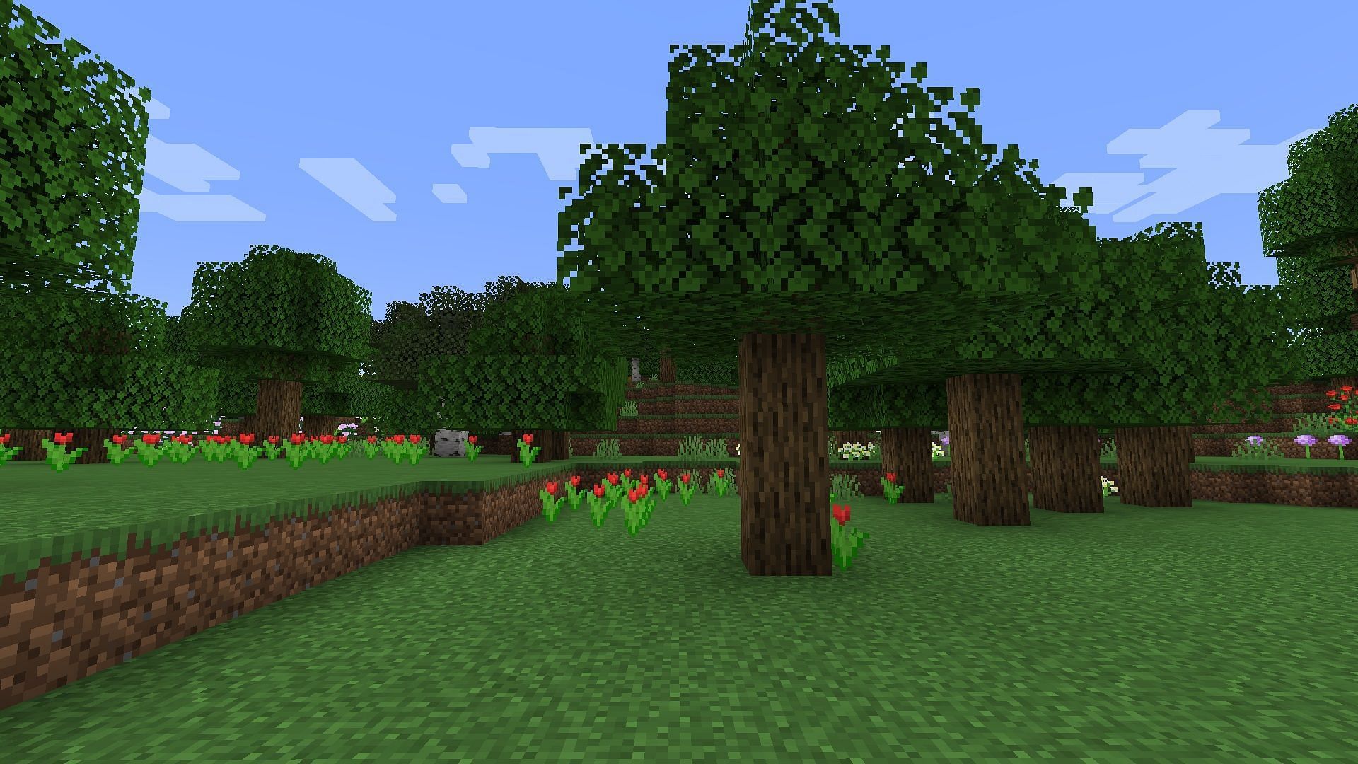 Forest biomes are great for early resources (Image via Mojang)