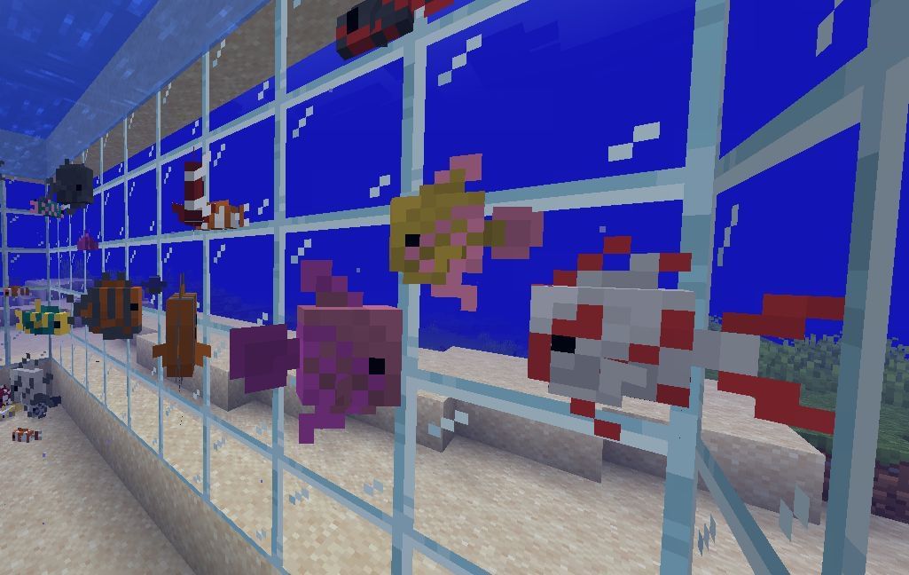 Tropical Fish in Minecraft Behavior, Spawning & Drops