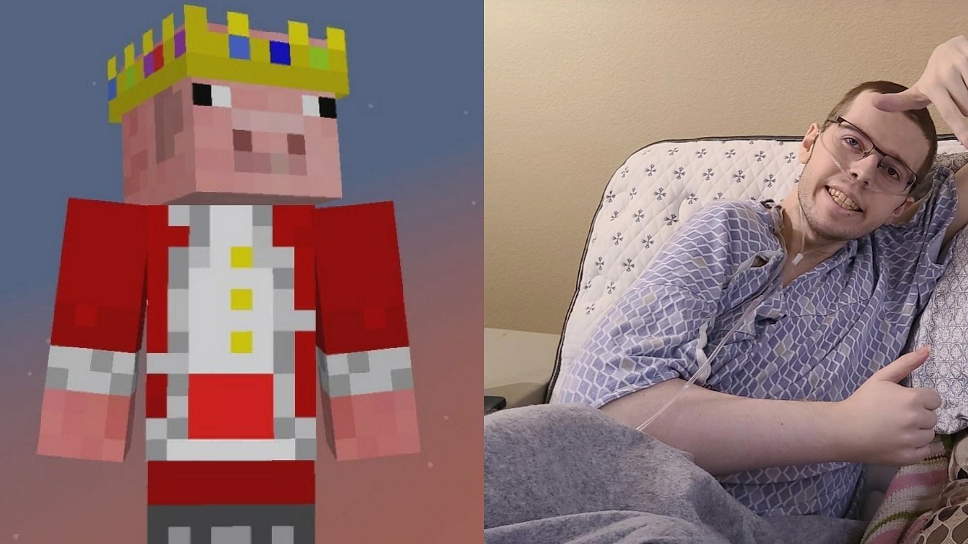 Popular Minecraft r Technoblade Dead Following Cancer Diagnosis