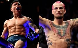 "Says the guy who got knocked out fast by the California senior citizen" - Fans have a laugh after Ricky Simon claims Sean O'Malley is the "least dangerous and easiest fight"